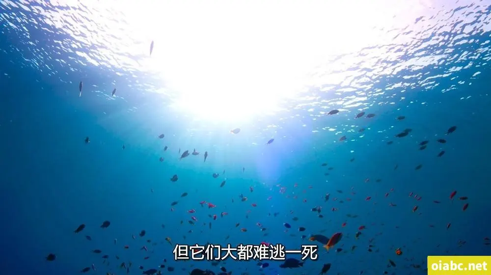 秋霞手机电影剧照1